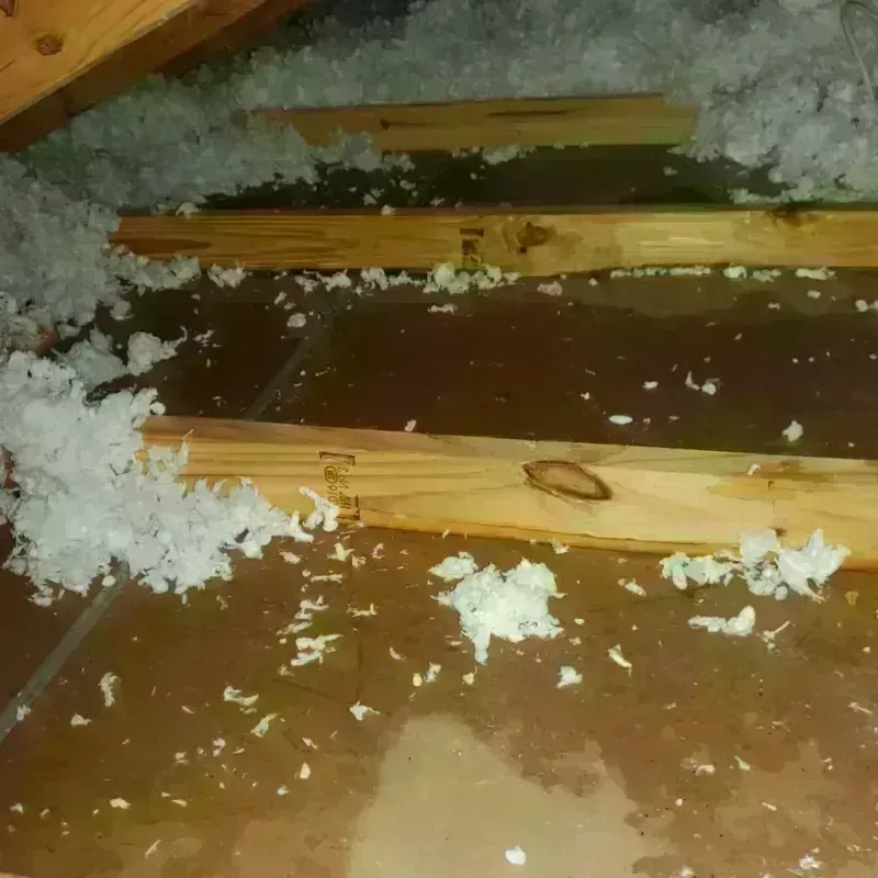 Attic Water Damage in Rollinsford, NH